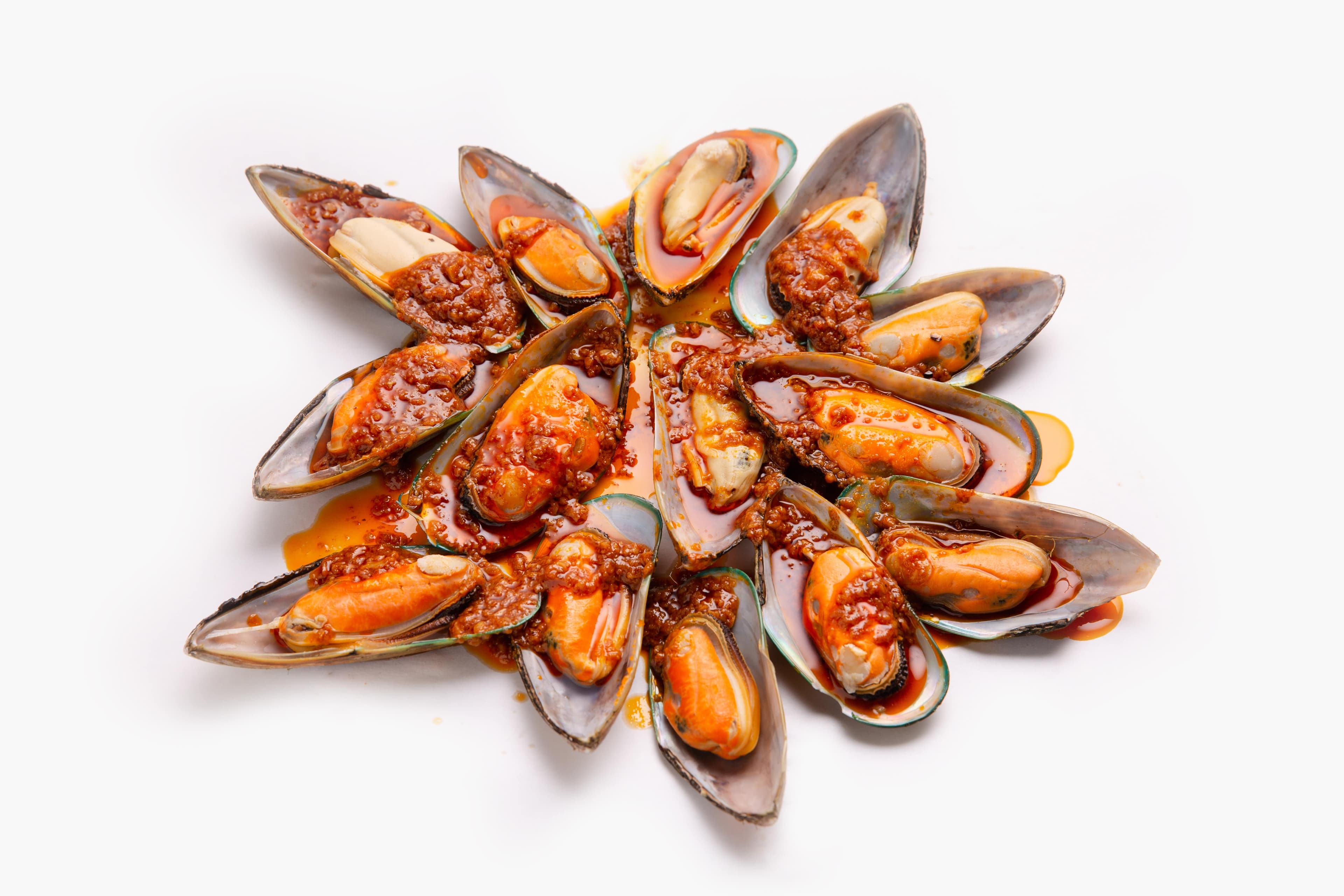 MUSSELS