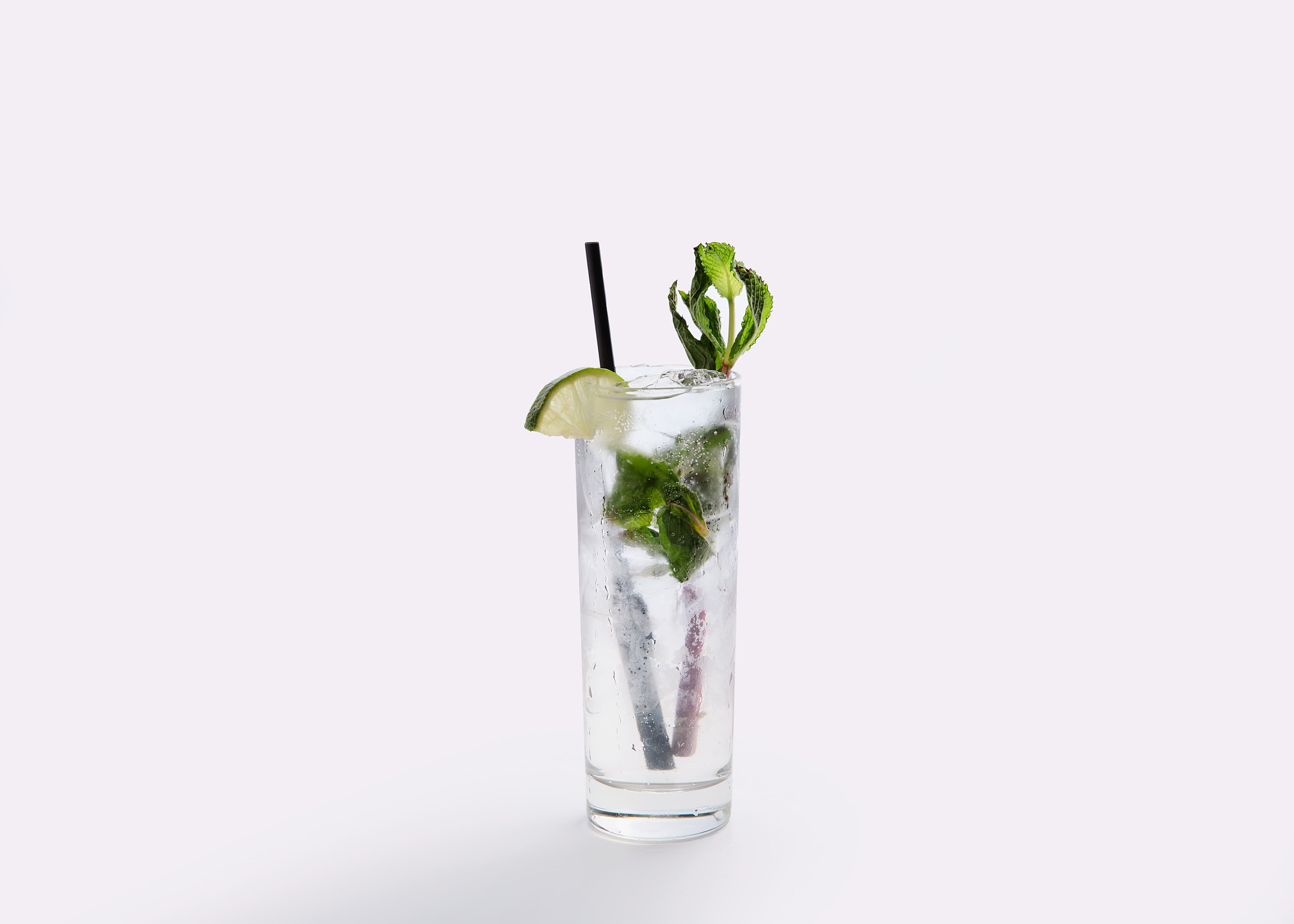 SHAKIN' MOJITO